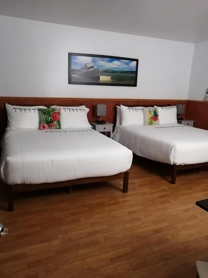 Hotel Fleurs Karaibes Saint-Alexandre-de-Kamouraska Eksteriør billede