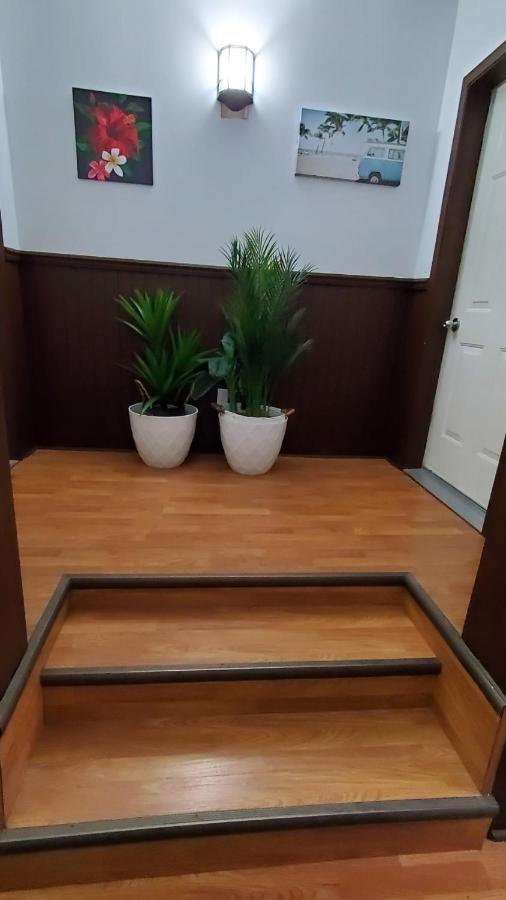 Hotel Fleurs Karaibes Saint-Alexandre-de-Kamouraska Eksteriør billede
